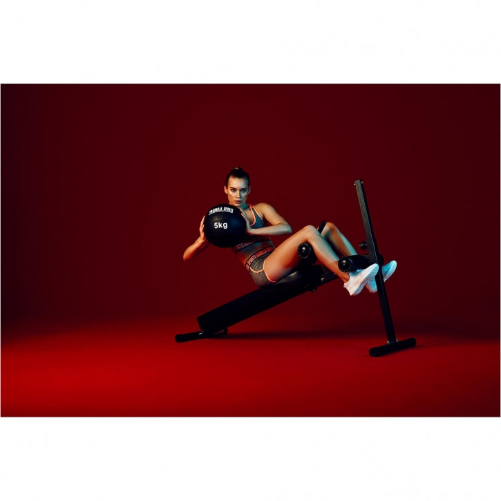 Medizin Wall Ball 10 kg